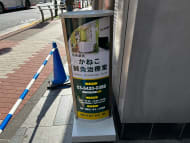 v20260411150636/fresh/building/J00100393864_16