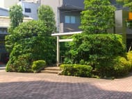 v20260415150905/fresh/building/J00100390268_11