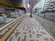 v20260415150905/fresh/building/J00100415145_2