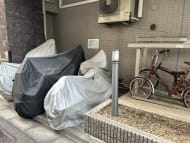v20260416150805/fresh/building/J00100406655_11