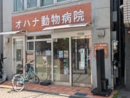v20260501150758/fresh/building/J00100609508_8