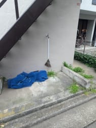 v20260503150631/fresh/building/J00100419939_8