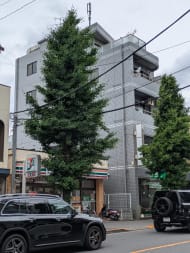 v20260516150634/fresh/building/J00100386250_7