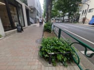 v20260520150956/fresh/building/J00100611051_12