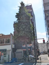 v20260522150901/fresh/building/J00100635984_13