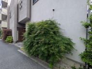 v20260522150901/fresh/building/J00100636303_11