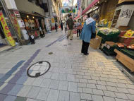 v20260524150635/fresh/building/J00100388795_11
