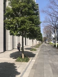 v20260605150805/fresh/building/J00100396599_2
