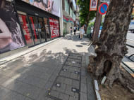 v20260610150910/fresh/building/J00100390114_12