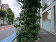 v20260706150910/fresh/building/J00100392933_2