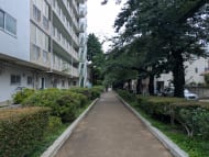 v20260706150910/fresh/building/J00100401387_11