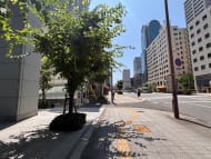v20260709150810/fresh/building/J00100397608_7