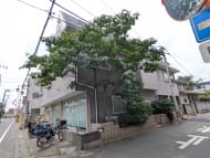 v20260709150811/fresh/building/J00100510300_5