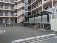 v20260715150900/fresh/building/J00100465313_15