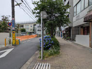 v20260720150646/fresh/building/J00100412676_16