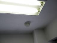 v20260728190715/fresh/room/J00101954035_5