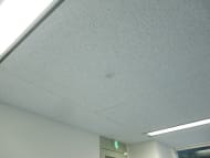 v20260729172301/fresh/room/J00101975205_6