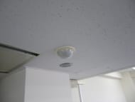v20260731150959/fresh/building/J00100371839_9