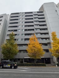 v20260731150959/fresh/building/J00100377016_6