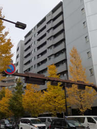 v20260731150959/fresh/building/J00100377016_8