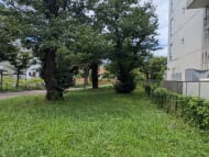 v20260802150642/fresh/building/J00100413916_14