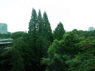 v20260803152350/fresh/room/J00101916042_5