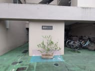 v20260807150853/fresh/building/J00100393879_3