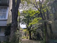 v20260811150636/fresh/building/J00100481648_8