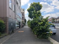 v20260812150645/fresh/building/J00100396528_2