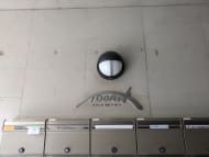 v20260816150646/fresh/building/J00100368782_9