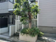 v20260823032151/fresh/building/J00100654649_9