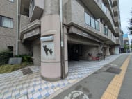 v20260907150756/fresh/building/J00100633667_7