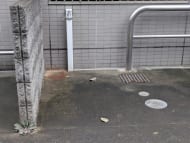 v20260909150800/fresh/building/J00100635970_10
