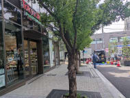 v20260928150753/fresh/building/J00100405098_15