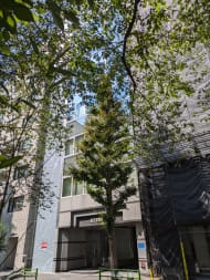 v20260930151009/fresh/building/J00100391040_1