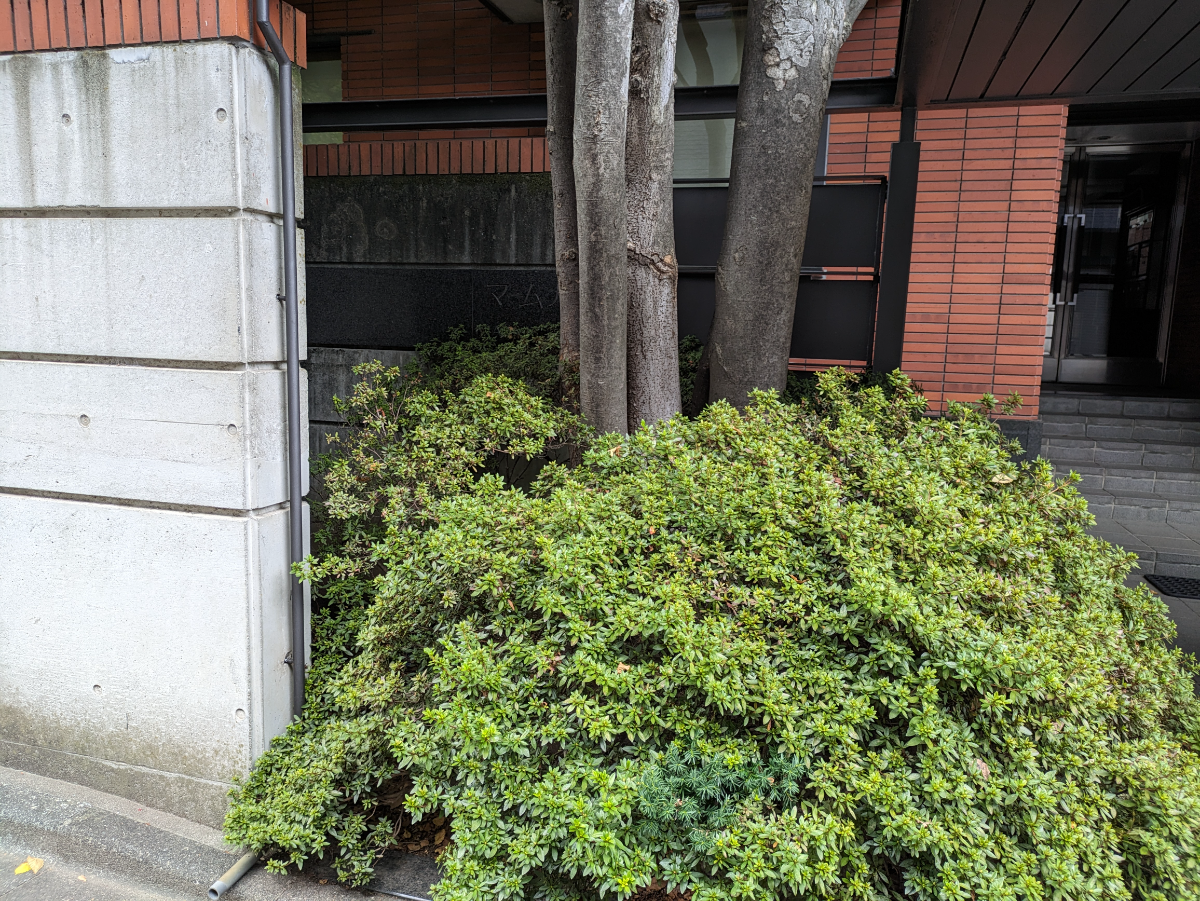 fresh/building/J00100356640_9