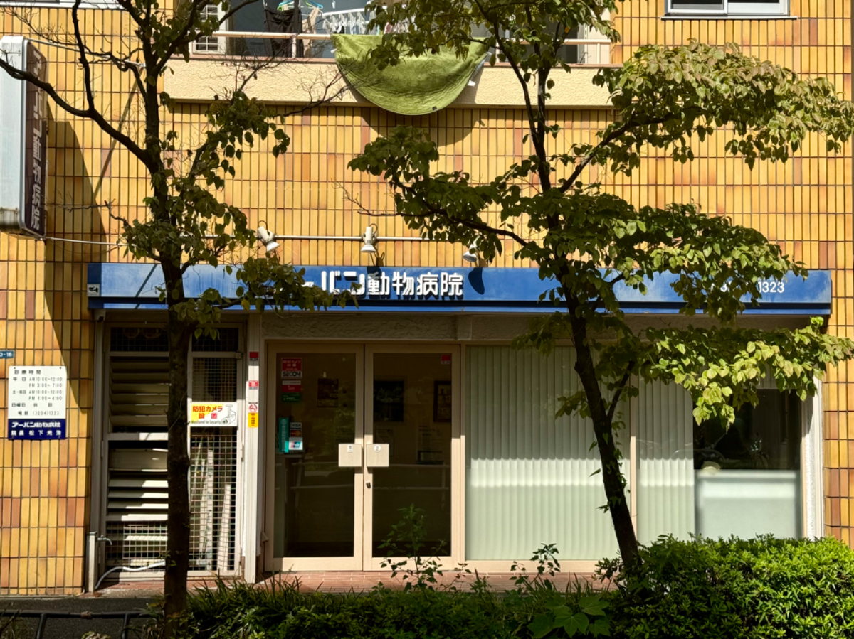 fresh/building/J00100356978_11