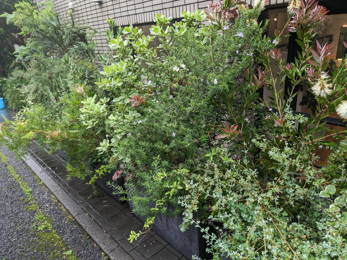 fresh/building/J00100357057_17