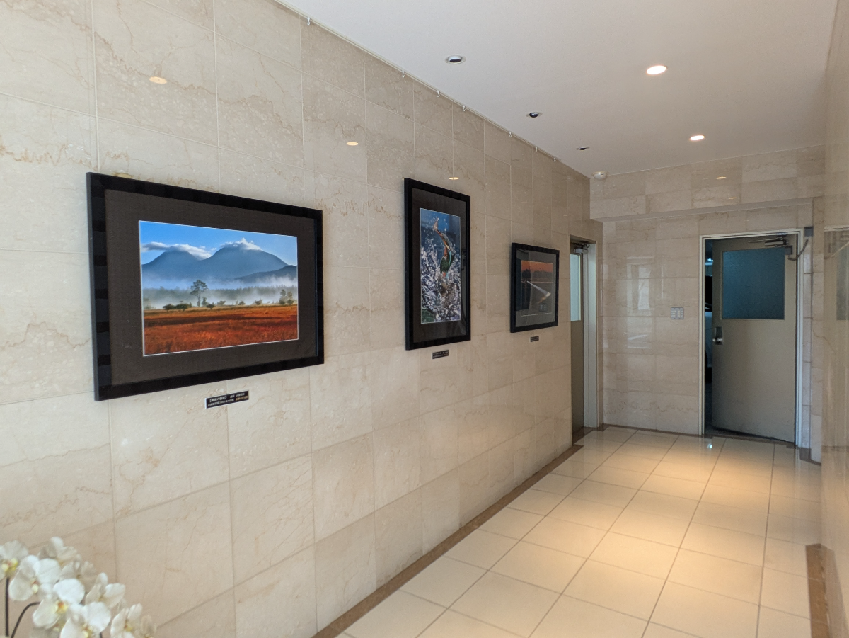 fresh/building/J00100357937_14