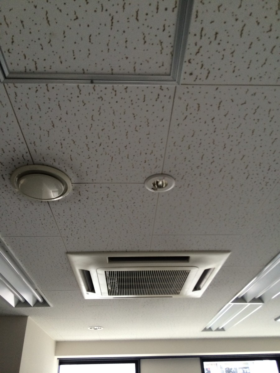 fresh/building/J00100357982_9