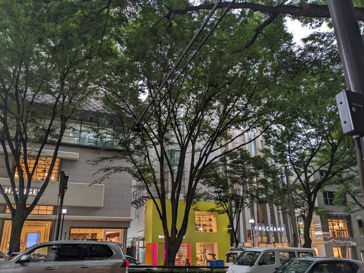 fresh/building/J00100358105_15