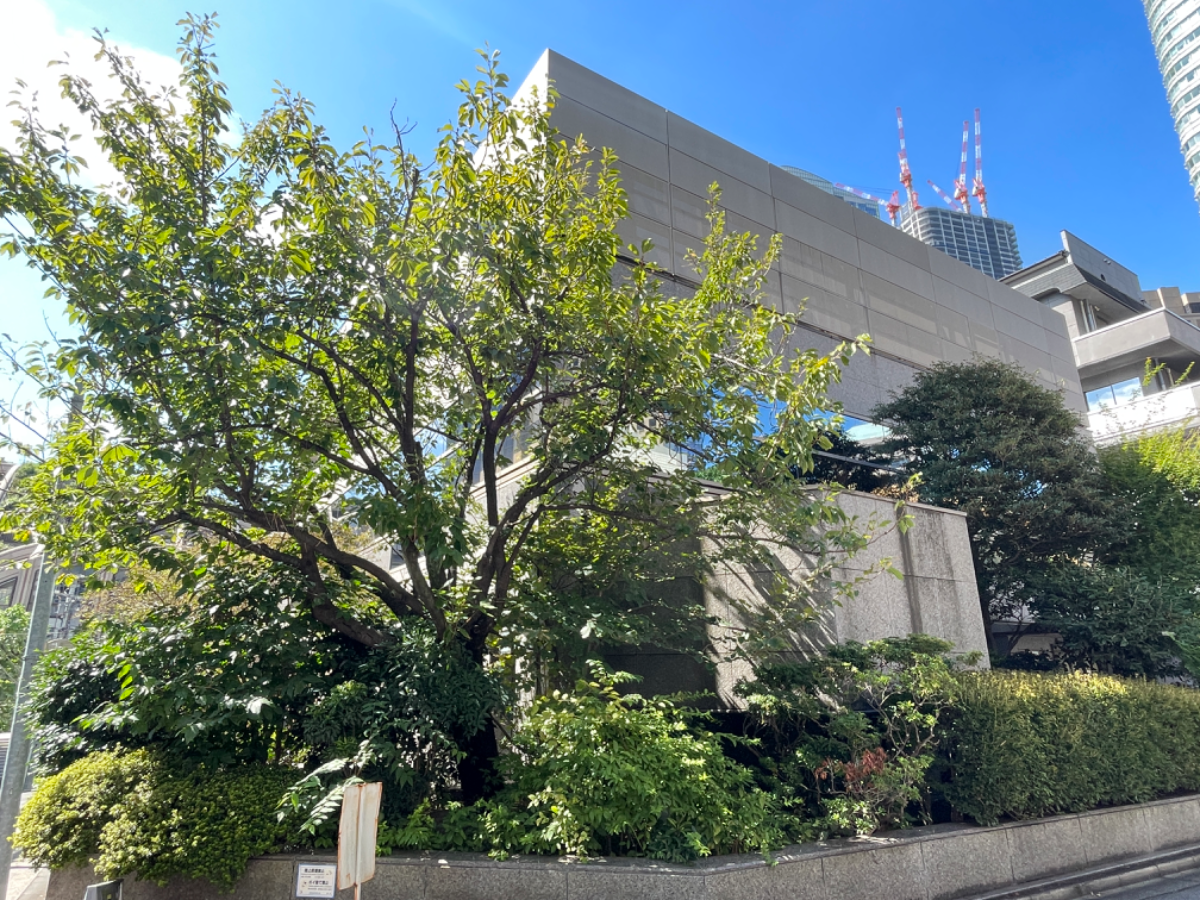 fresh/building/J00100358610_8