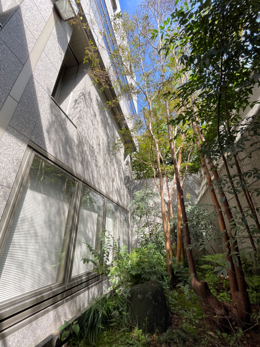 fresh/building/J00100358610_9