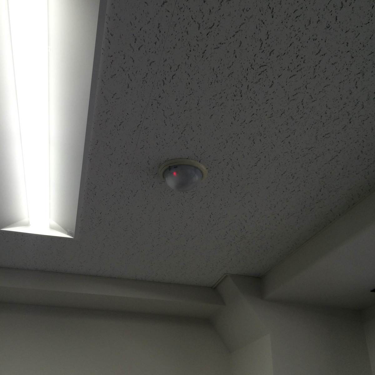 fresh/building/J00100359744_10