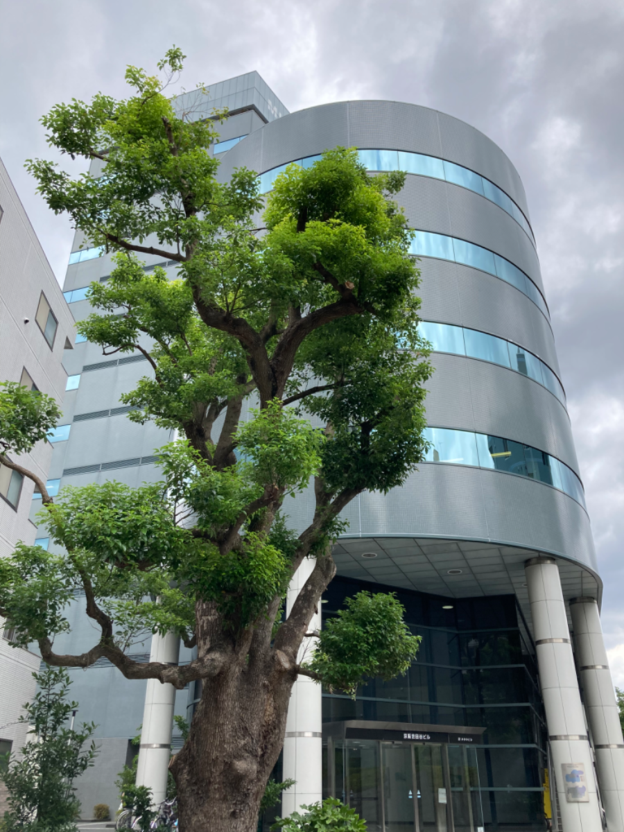 fresh/building/J00100360025_6