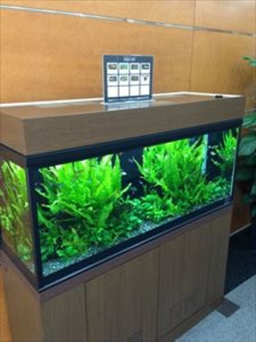 fresh/building/J00100360081_13