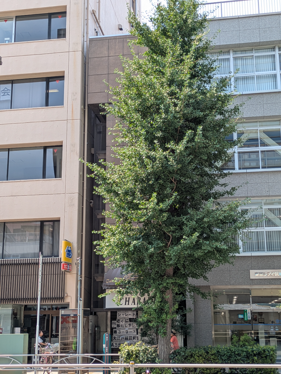fresh/building/J00100360385_6