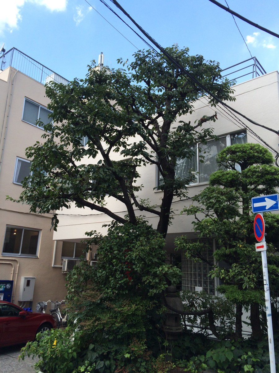 fresh/building/J00100360387_10