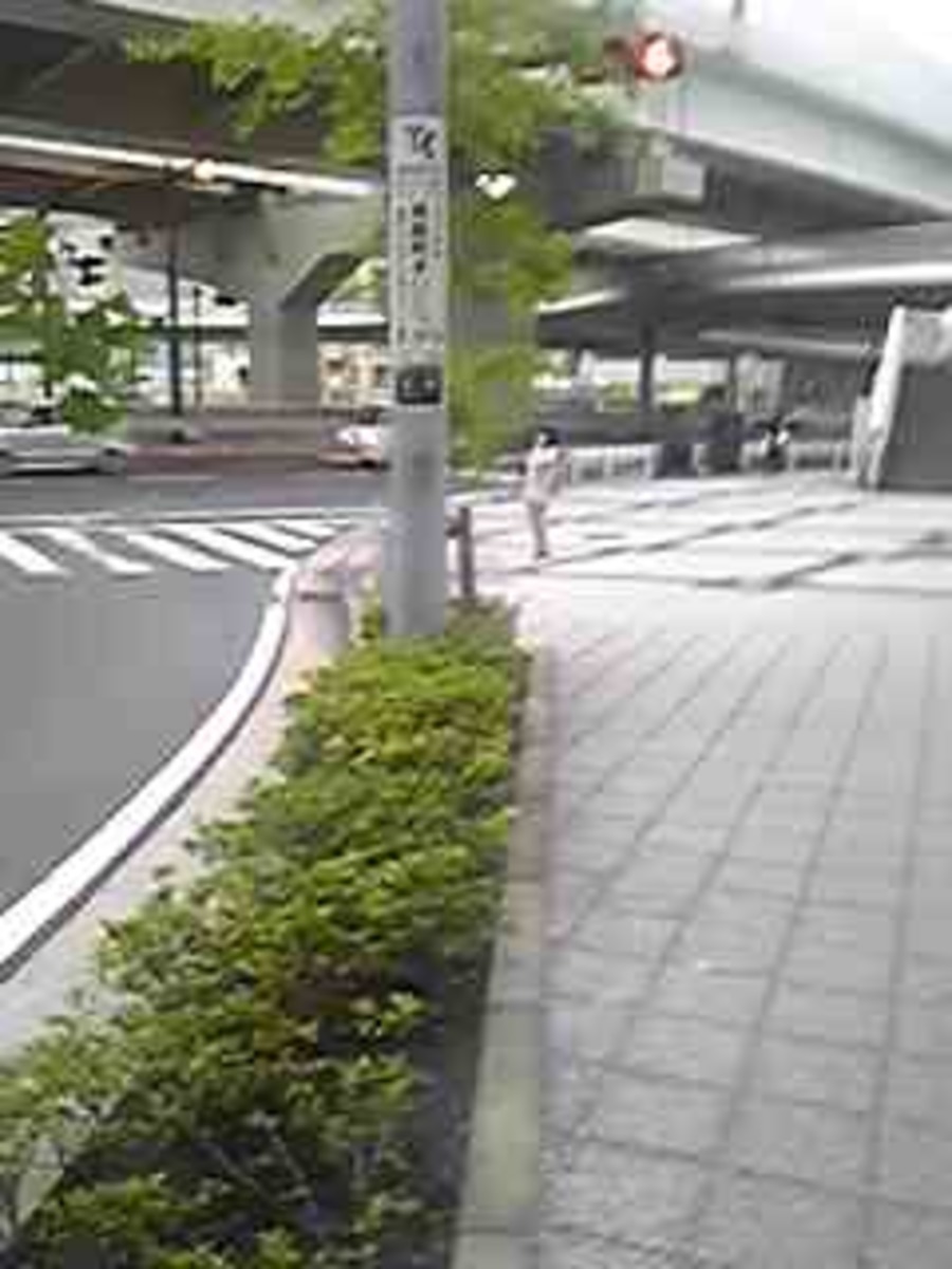 fresh/building/J00100360446_11