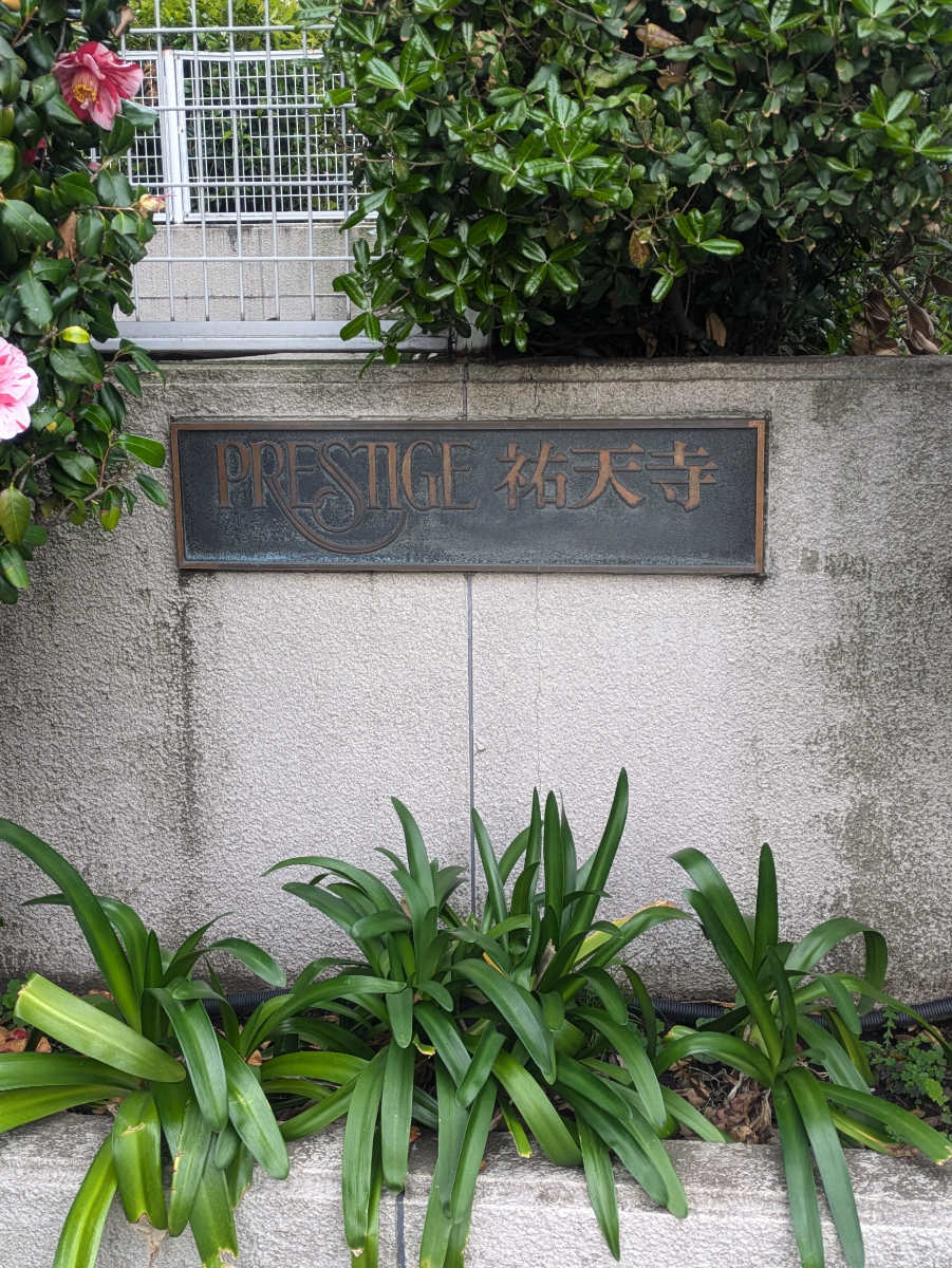 fresh/building/J00100360505_11